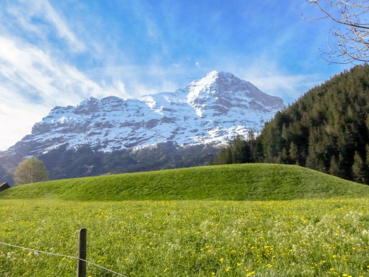 Apartment Chalet Marie Rosa-1 By Interhome Grindelwald Luaran gambar
